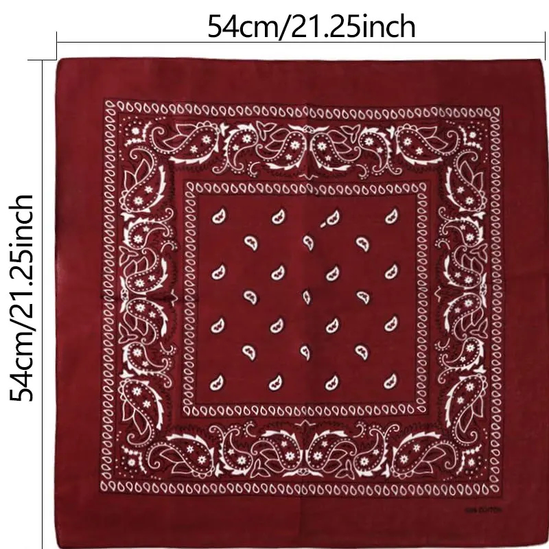 1pcs Hip Hop Cowboy Paisley Sc - Bandana Blank White 评论和价格